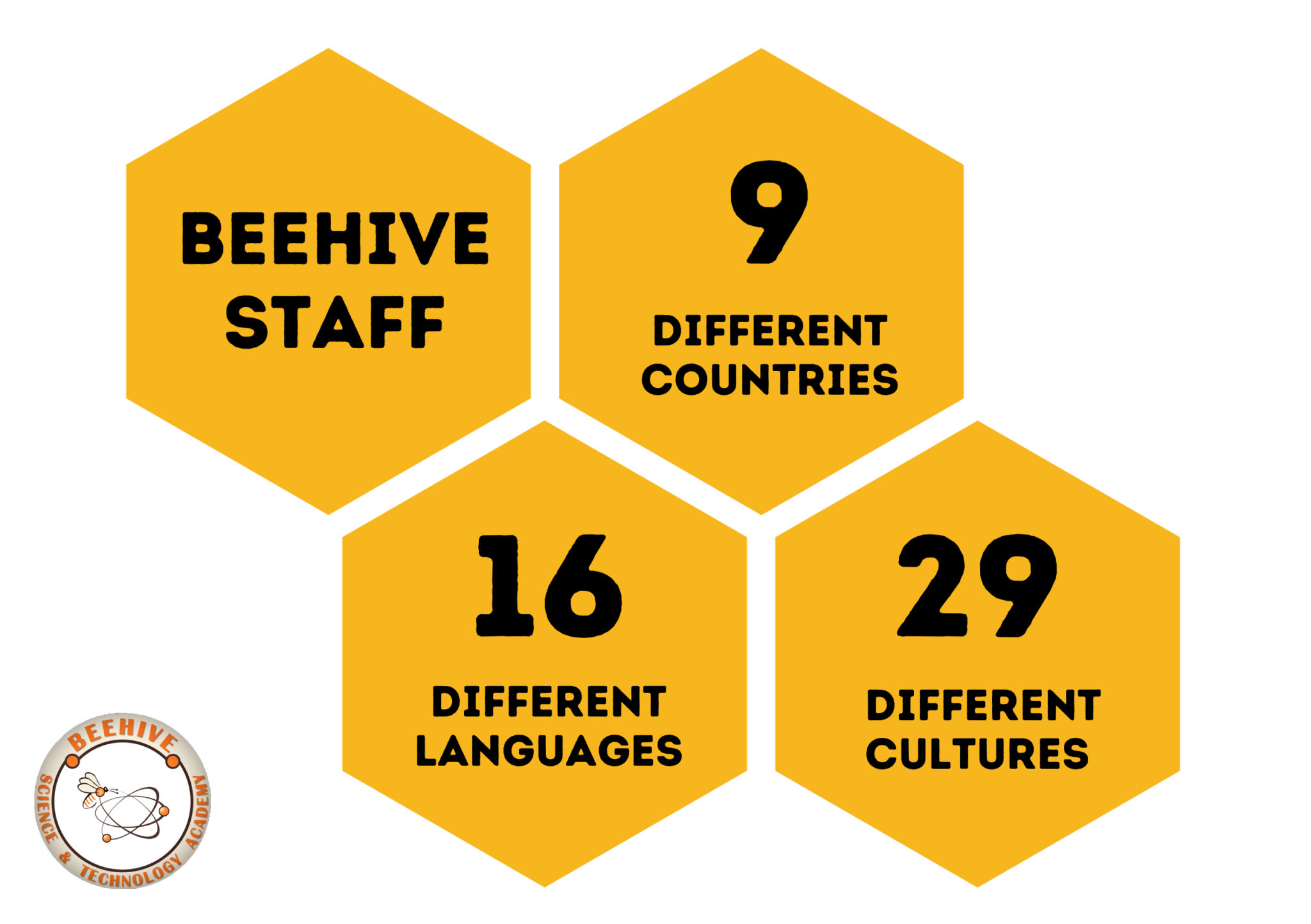 Staff diversity