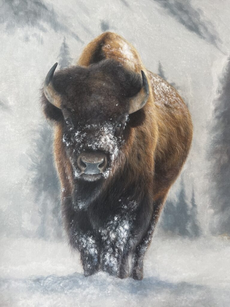 Artwork of buffalo in winter landscape done by Emma Lewis